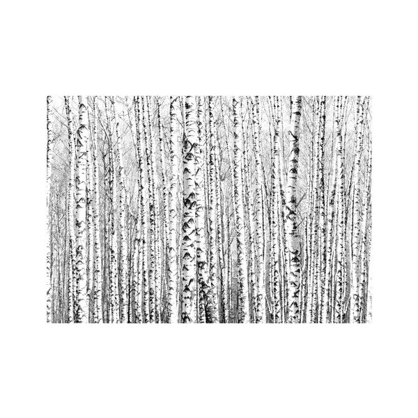 Carta da parati di grande formato, 400 x 280 cm Birch Forest - Artgeist