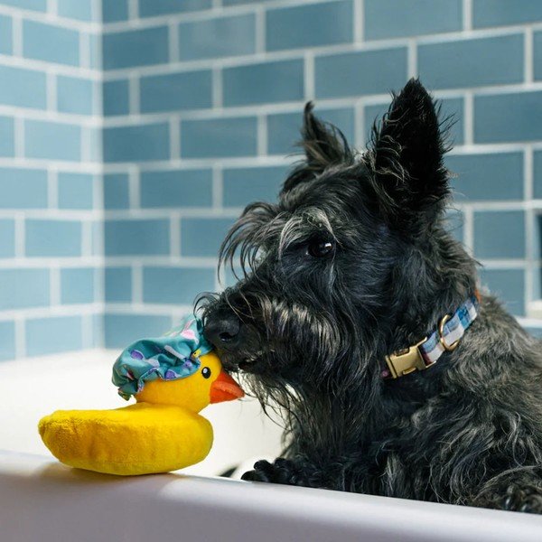 Giocattolo per cane Paperella – P.L.A.Y.-image-1