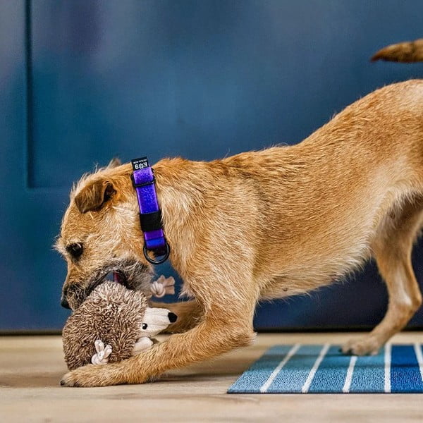 Giocattolo per cane Riccio - P.L.A.Y.-image-2