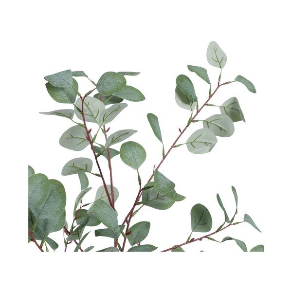 Eucalipto artificiale (altezza 180 cm) Eucalyptus - Ixia-image-2