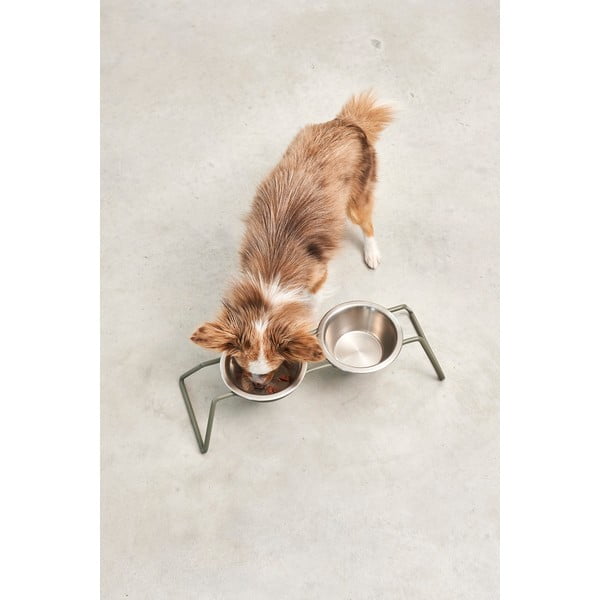 Set di ciotole con supporto in acciaio inox per cane Cena Grollive M – MiaCara-image-2