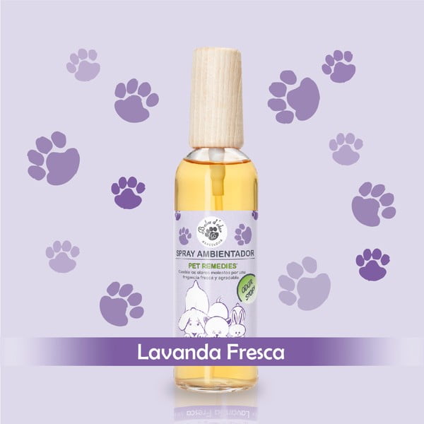 Profumo per interni che assorbe gli odori degli animali domestici 100 ml Lavanda Fresca - Boles d'olor-image-1
