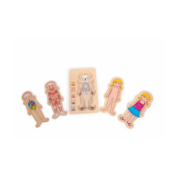 Giocattolo in legno Anatomia della ragazza - Legler