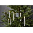 Set di 10 candele LED con pioli, altezza 15 cm Paulina - Star Trading