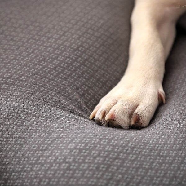 Cuccia grigio chiaro per cane 50x38 cm Graphene – Love Story-image-2