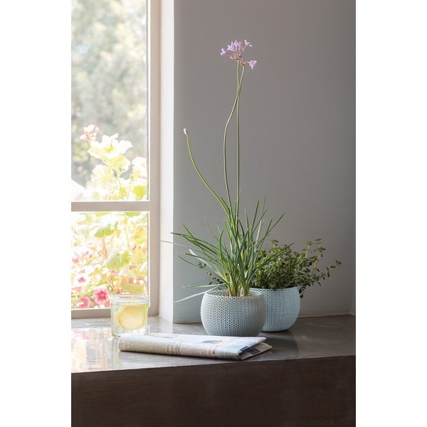 Vasi in plastica in set da 3 pezzi ø 15 cm Cozy - Keter-image-3