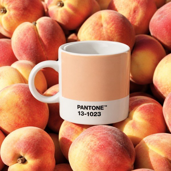 Tazzina per espresso color pesca in porcellana 120 ml Peach Fuzz 13-1023 – Pantone-image-1