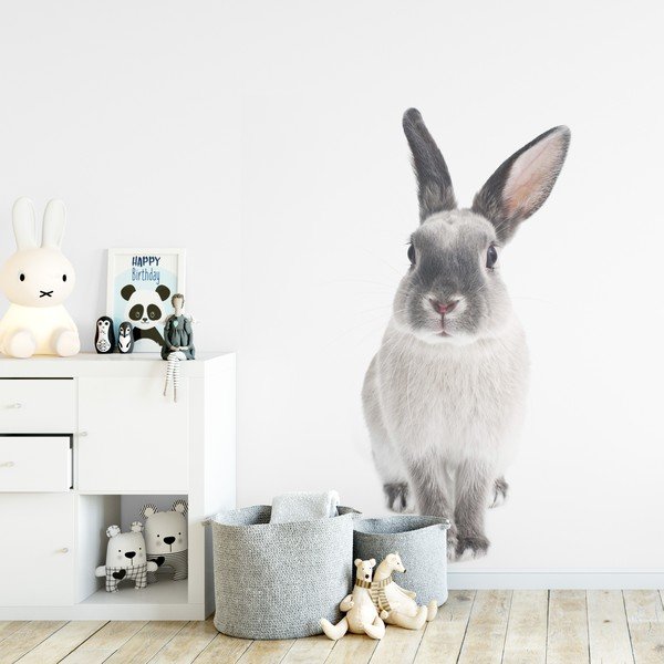 Adesivo murale , 53 x 115 cm Rabbit Harry - Dekornik-image-1