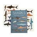 Tatuaggi per bambini Sharks - Rex London