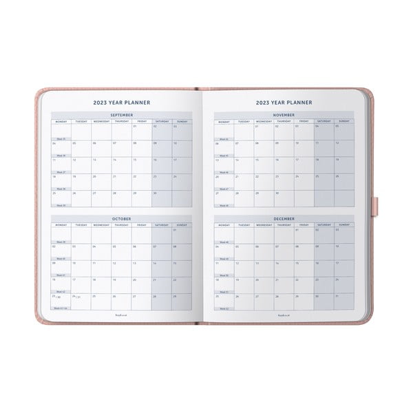 Diario - Busy B-image-3