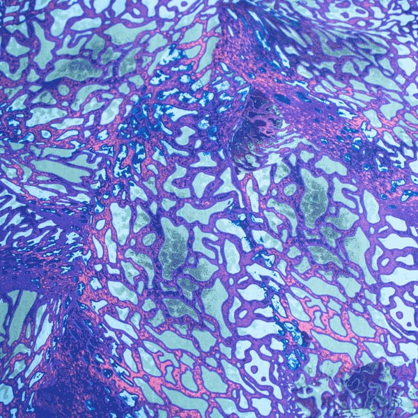 Biancheria da letto per bambini in cotone blu per letto singolo 140x200 cm How To Train Your Dragon - Jerry Fabrics-image-4