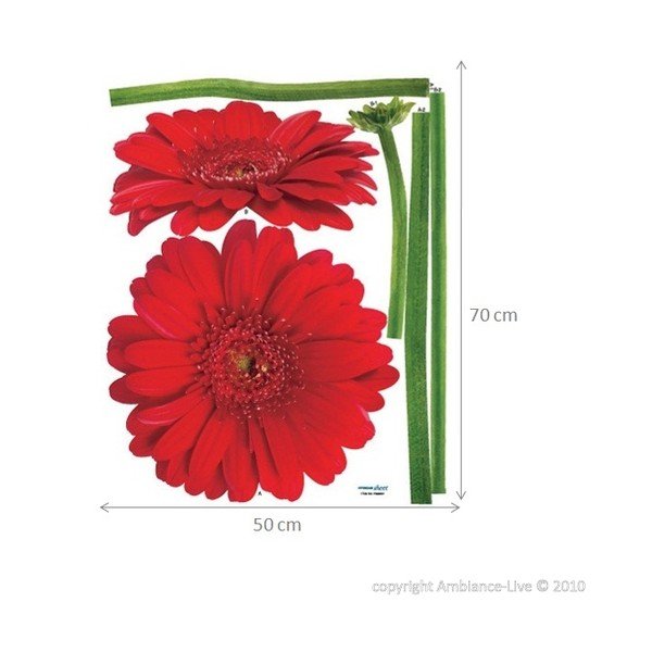 Samolepka Ambiance Gerbera Flowers-image-2