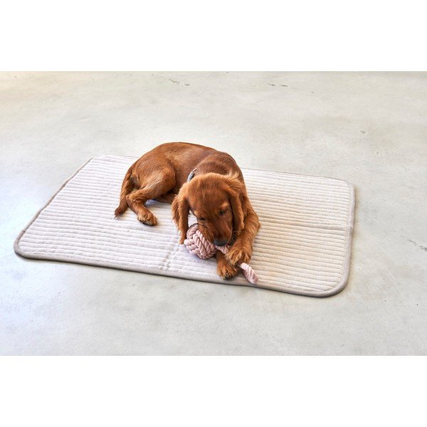 Coperta di cotone beige per cani 90x120 cm Onda Greige L - MiaCara-image-3