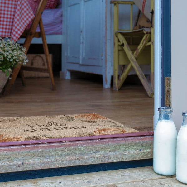 Zerbino in fibre di cocco 40x60 cm Hello Autumn – Artsy Doormats-image-4