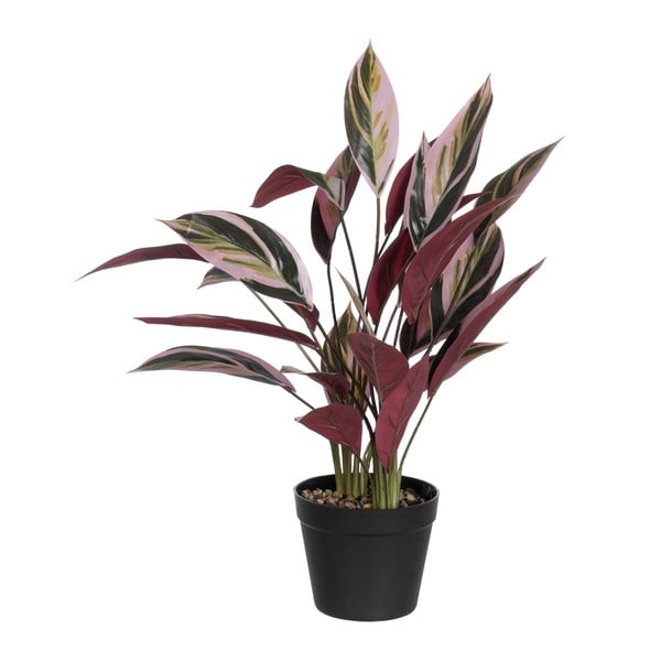 Pianta artificiale (altezza 55 cm) Bird of Paradise - Ixia