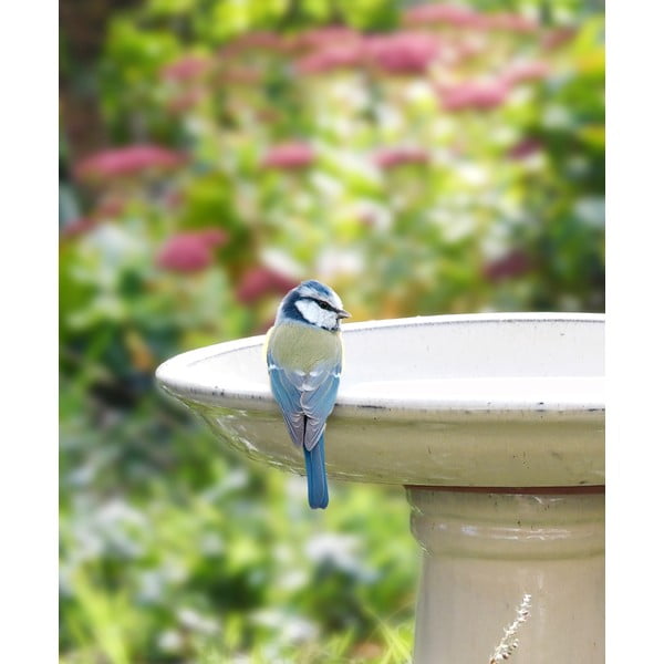 Mangiatoia per uccelli - Esschert Design-image-2