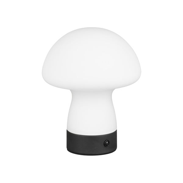 Lampada da tavolo LED bianco opaco con paralume in vetro (altezza totale 18 cm) Dooley – Trio