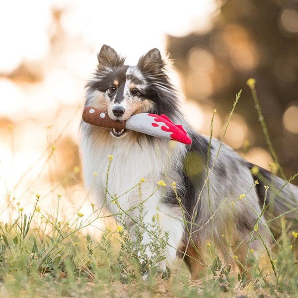 Coltello horror per cani - P.L.A.Y.-image-2