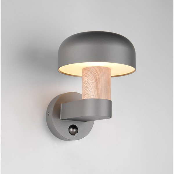 Illuminazione esterna con sensore di movimento da parete (altezza totale 24,5 cm) Fraser – Trio-image-1