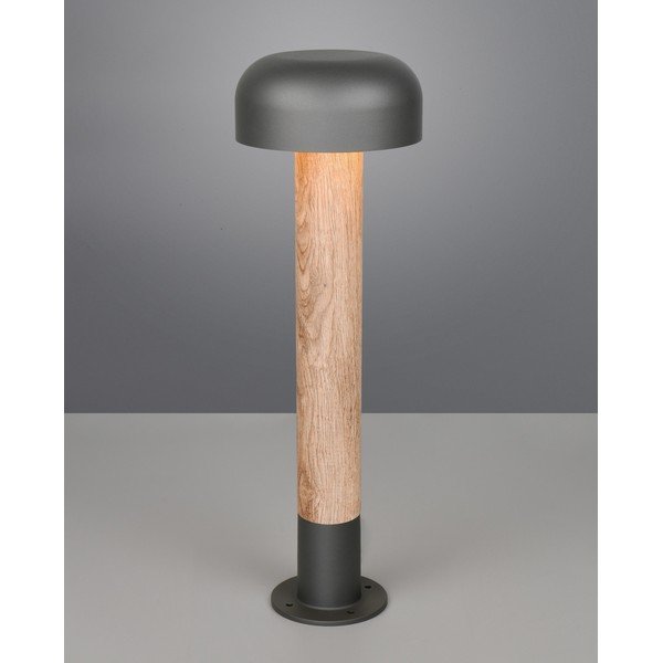 Illuminazione esterna a colonna ø 19 cm Fraser – Trio-image-1