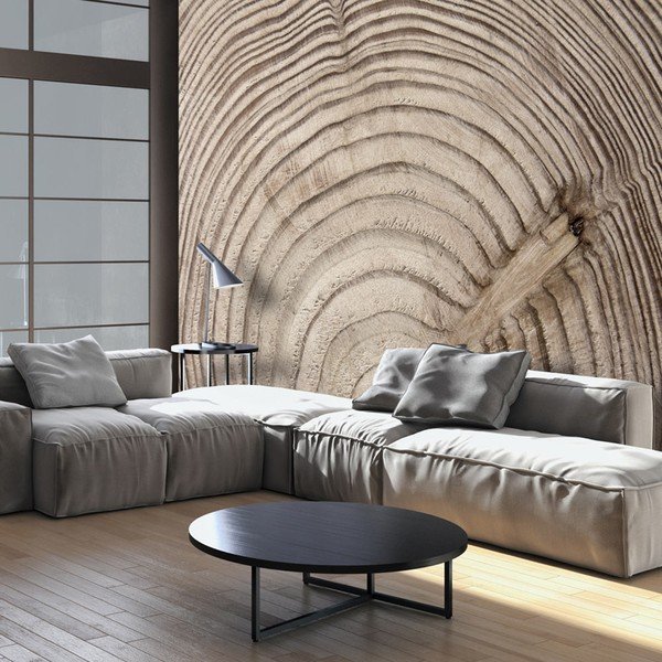 Carta da parati di grande formato Bimago l, 400 x 280 cm Wood Grain - Artgeist-image-1
