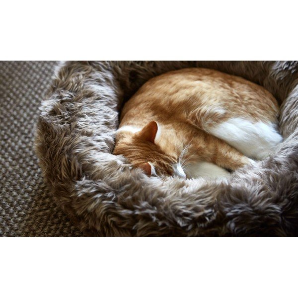 Letto per animali domestici di colore crema in pelliccia artificiale ø 50 cm Lana Ivory/Mottled Natural - MiaCara-image-2