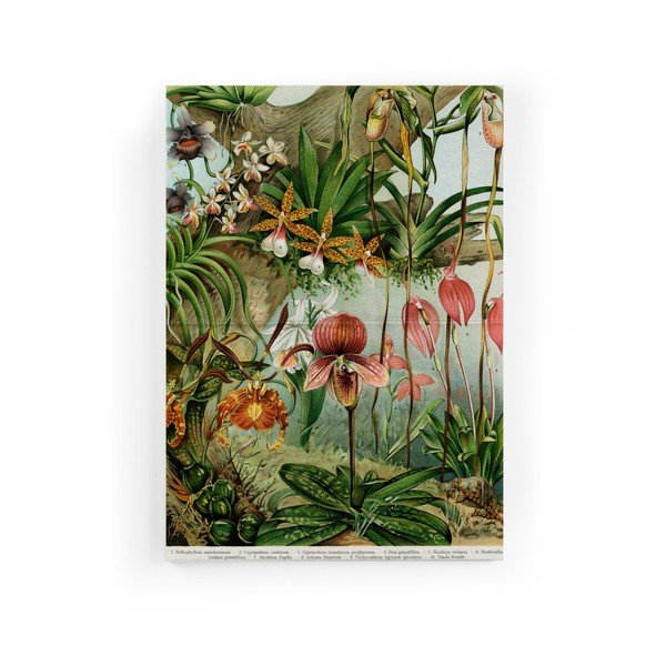 Pittura su tela, 40 x 60 cm Jungle Flowers - Surdic
