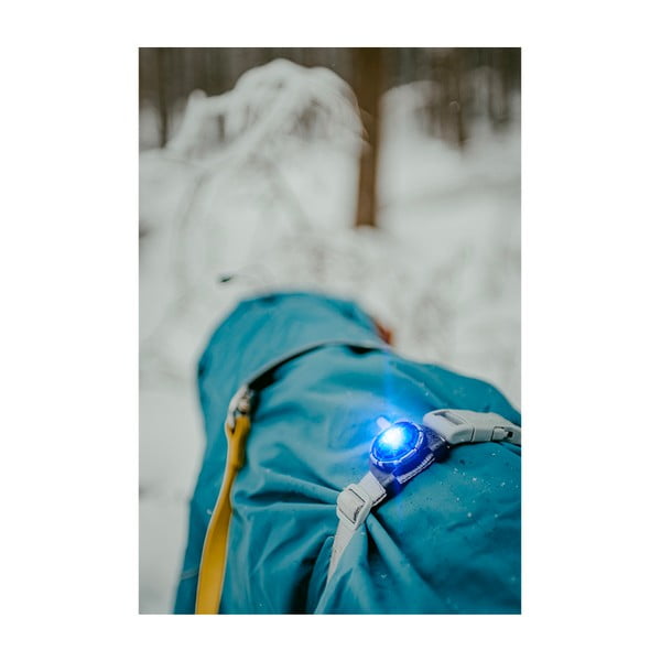Luce per collare a LED Blue - Orbiloc-image-3