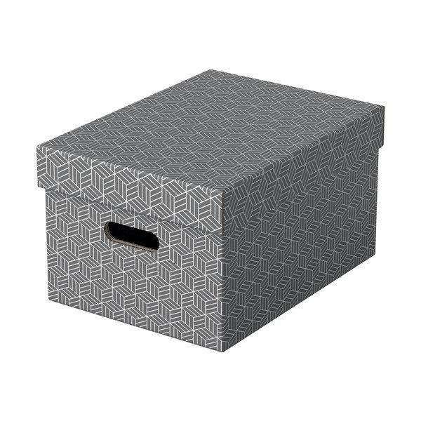 Set di 3 scatole portaoggetti grigie , 26,5 x 36,5 cm - Esselte Home