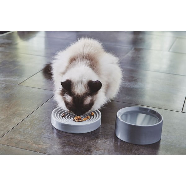 Ciotola anti ingozzamento in porcellana per gatti ø 16 cm Piatto Concrete S - MiaCara-image-2