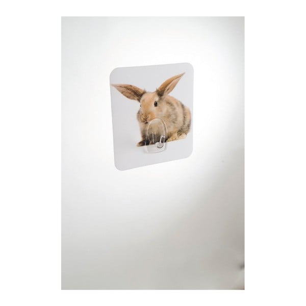 Gancio da parete Rabbit Magic - Compactor