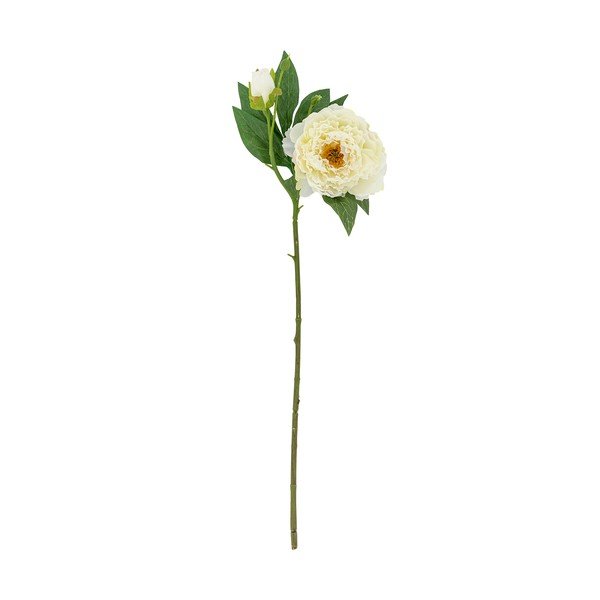 Fiore artificiale (altezza totale 62 cm) Peony – Bloomingville