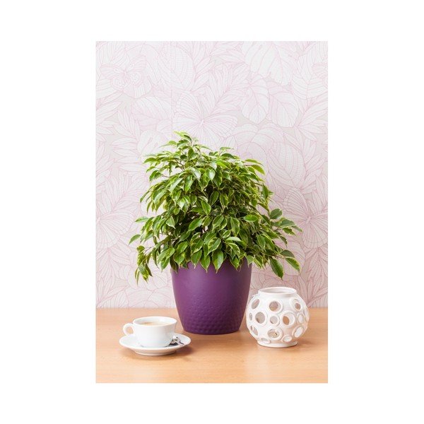 Vaso da fiori viola Perla, ø 19 cm - Plastia-image-1