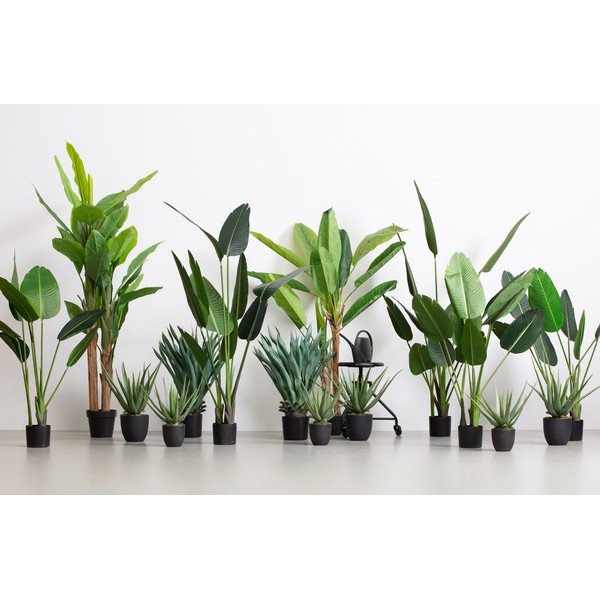 Agave artificiale, altezza 68 cm - WOOOD-image-1
