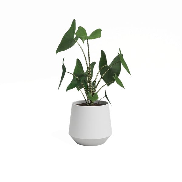 Vaso in ceramica ø 17 cm Aurora - Artevasi-image-3