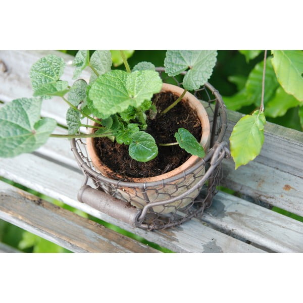 Vaso in terracotta ø 15 cm - Esschert Design-image-4