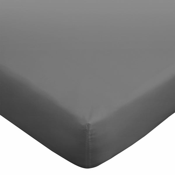 Lenzuolo grigio scuro in cotone egiziano elasticizzato 135x190 cm - Bianca