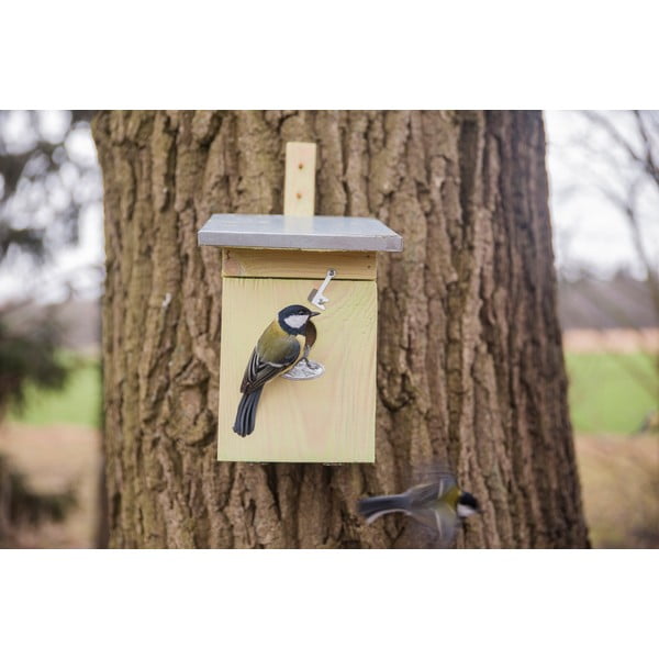 Cassetta di legno per cinciallegre - Esschert Design-image-4