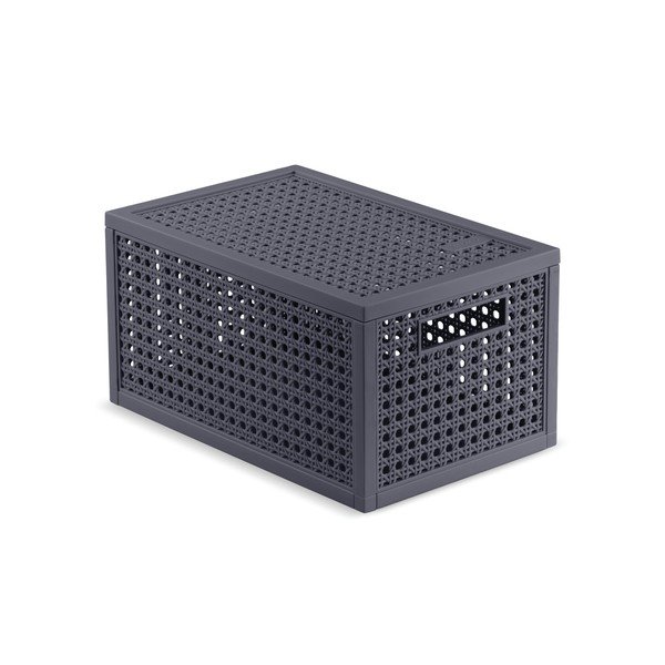 Scatola con coperchio grigio scuro in plastica riciclata 19x30x15 cm Kaya – Curver