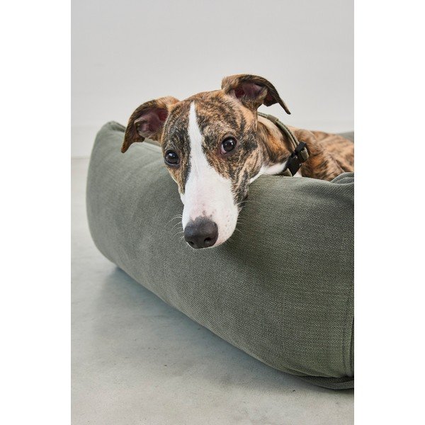 Cuccia color salvia per cane 120x93 cm Comodo Sage L – MiaCara-image-3