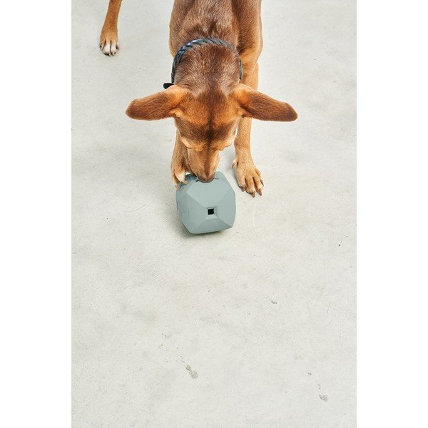 Giocattolo per cani Dado Eucalyptus – MiaCara-image-3