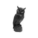 Statua Owl - PT LIVING