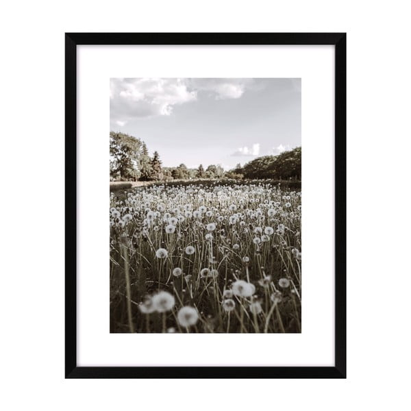 Poster 40x50 cm Meadow - knor