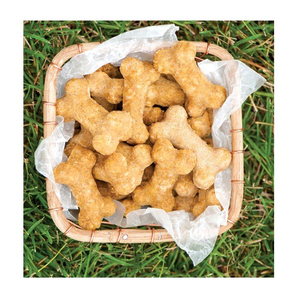 Stampo blu per biscotti per cani a forma di osso - Nordic Ware-image-1