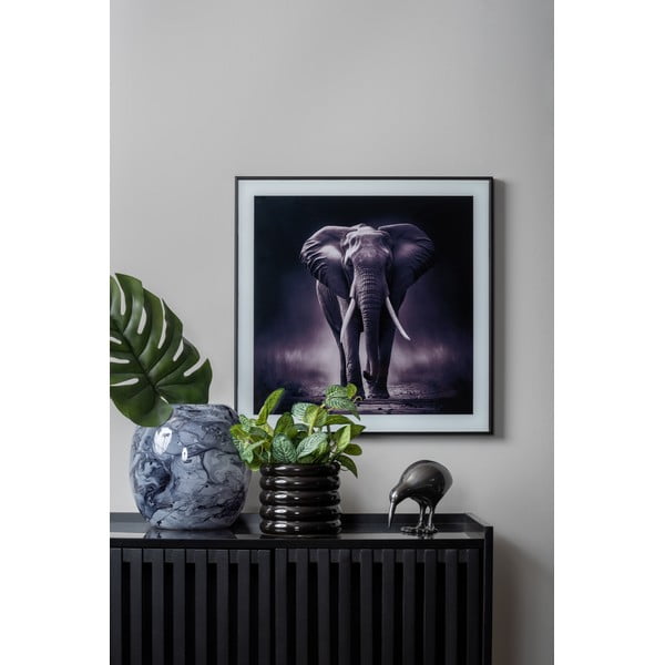 Dipinto 50x50 cm Elephant - PT LIVING-image-1