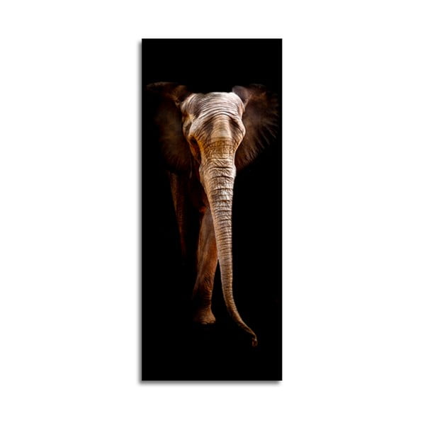 Immagine , 125 x 50 cm Elephant - Styler