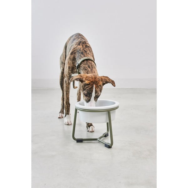 Ciotola con supporto in porcellana per cane ø 20 cm Pranzo Grolive M – MiaCara-image-3
