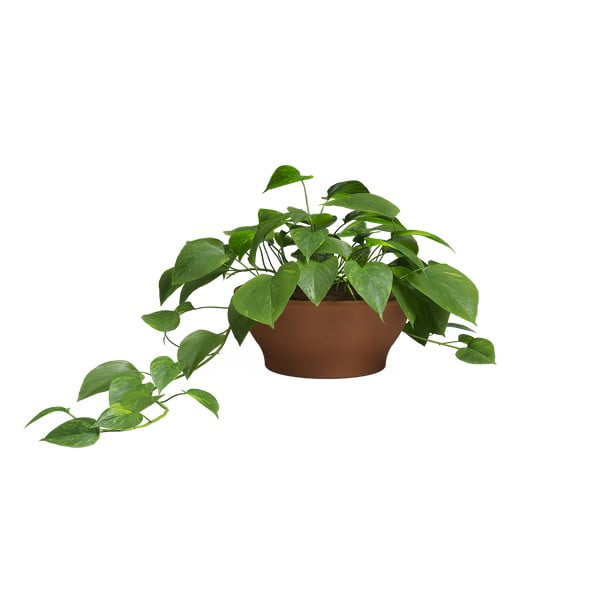 Vaso in terracotta ø 23 cm Saramago - Artevasi-image-2