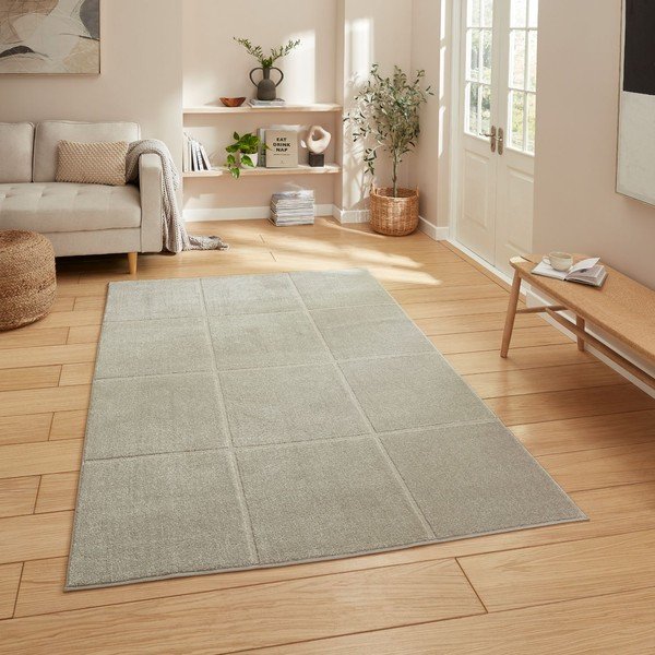 Tappeto grigio chiaro 120x170 cm Elio Silver – Think Rugs-image-1
