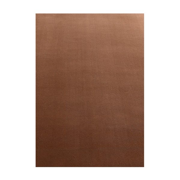 Tappeto marrone lavabile 140x200 cm Sky – Ayyildiz Carpets